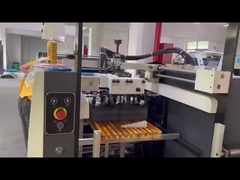 Maszyna do lakierowania UV serii FHSGJ