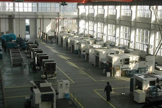 Wysokiej wydajności Ecoo-TDS800 Folia Stamping Die Cutting Machine