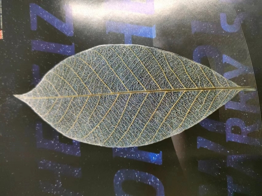 590x760 cyfrowa maszyna do lakierowania i foliowania